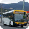 More Metro Tasmania fleet images